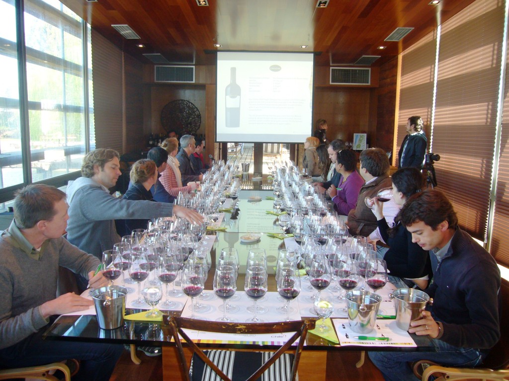 wine education chile