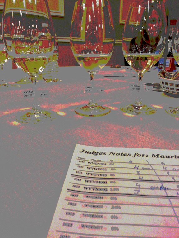SDIWC judging