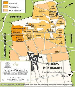 puligny-montrachet