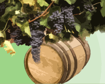 viticulture vs vinification