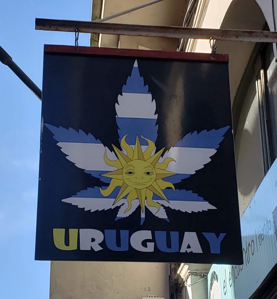 Uruguay Wines