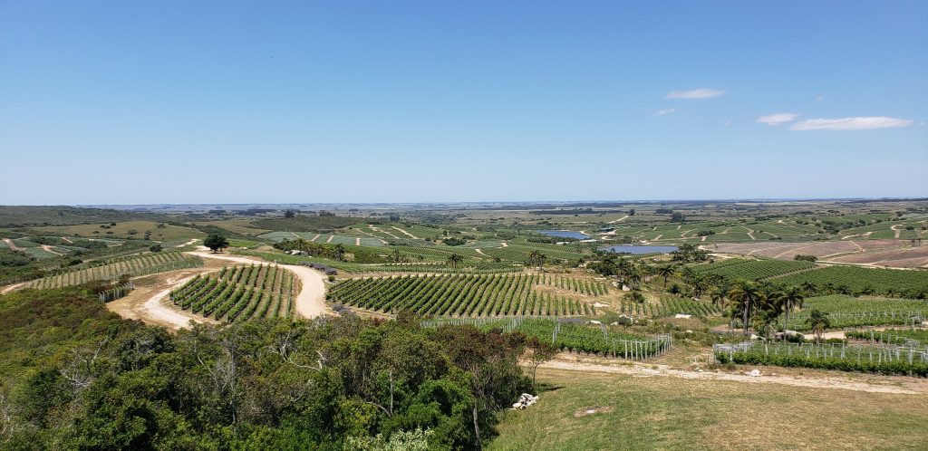 Uruguay Wine regions